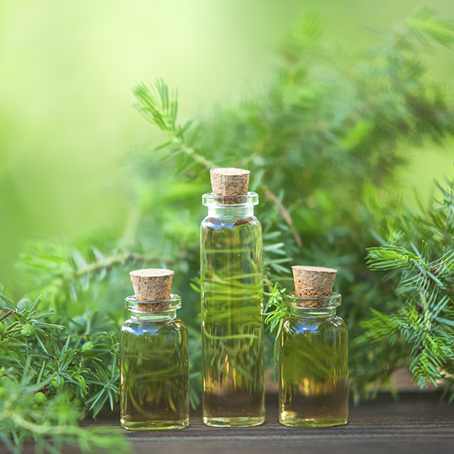 Remède naturel contre l'acné : huile d'arbre à thé (Istock)